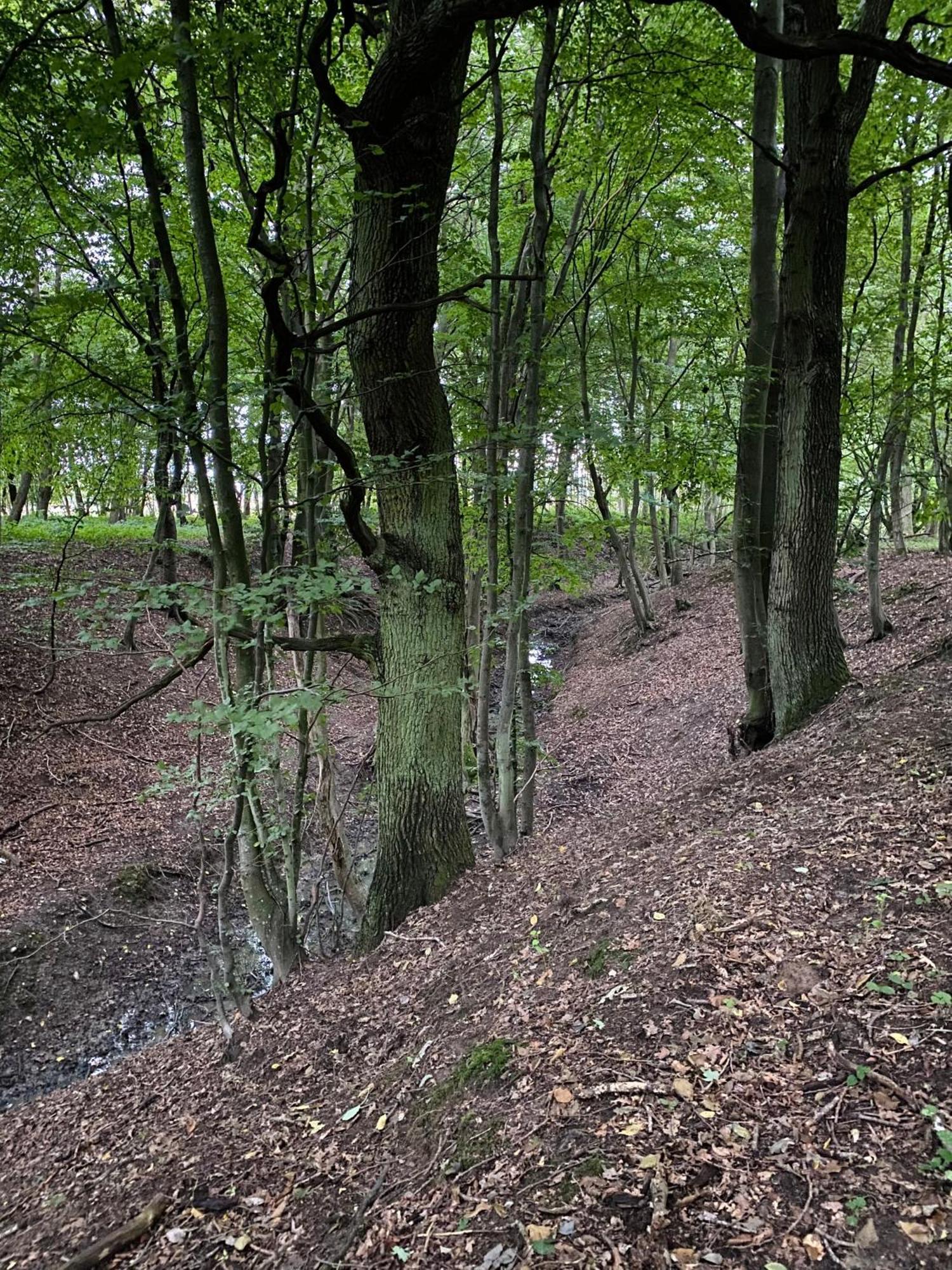 Pommernhof Apartmán *